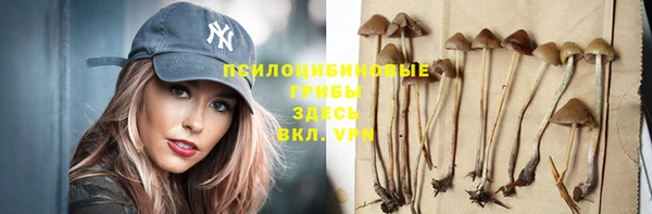 spice Армянск