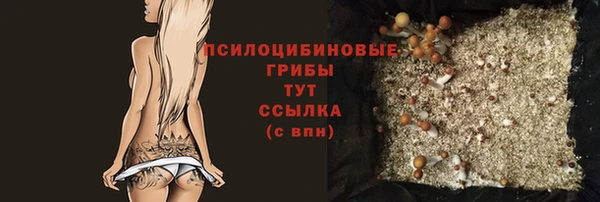 тгк Семилуки