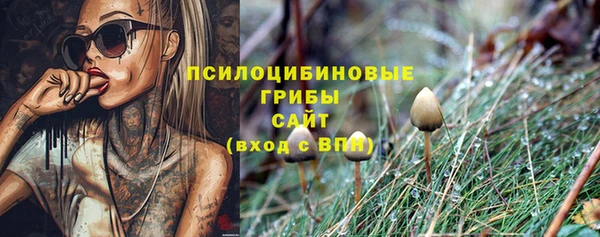 spice Армянск