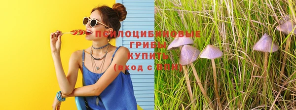 марки nbome Аркадак