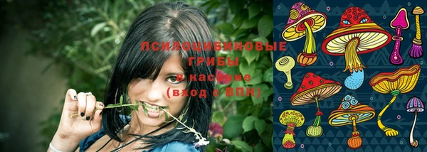 марки nbome Аркадак
