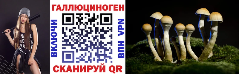Псилоцибиновые грибы прущие грибы  гидра tor  Белинский 